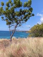 Kajuwulu Sunset Point