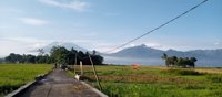 Wisata Sawah Desa Cikal