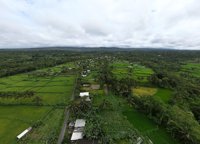 Desa Wisata Kembang Kuning