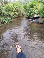 Wisata Mata Air Gedad