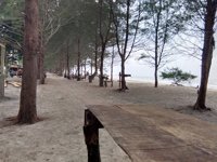 Pantai Sambungo, Silaut 6