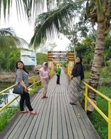 Kawasan Hutan Lindung Mangrove Bsd Bontang