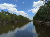 Taman Nasional Wasur