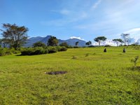 Bukit Teletubbies Batu