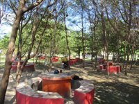 Taman Cemara Pantai Padang Galak