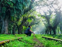 Lorong Negeri Padang Halaban View