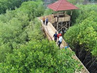Eduwisata Mangrove Camar