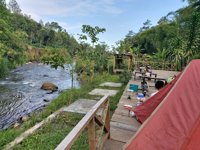 Pinus Camp 2 Banyuwangi