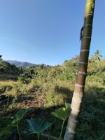 Persawahan Rana Munting/pongpoe