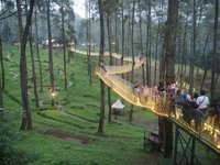 Orchid Forest Cikole