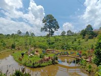 Agrowisata Kebon Kito