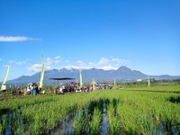 Lumbung Pendem Asik (lpa)