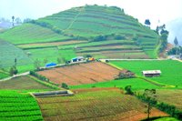 Bankleur Green House