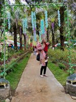 Wisata Sawit Ceria