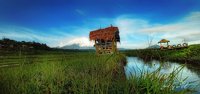 Gazebo Sawah View Tegalwaton