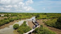 Kebun Raya Mangrove Madura