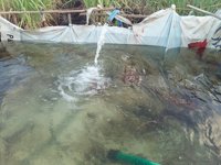 Kebun Lambakara Hpi Agro