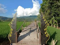 Wisata Embung Sawah Kampuja