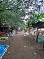 Taman Pantai Alam Indah (pai) Tegal