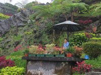 Wisata Alam Baturraden