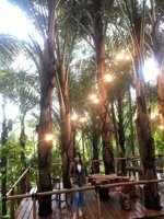 Tuur Maasering Kumelembuai Tomohon